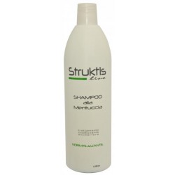 SHAMPOO STRUKTIS MENTUCCIA ANTIFORFORA 1 L